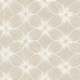 Image de Maximilian Beige - 1080001-01